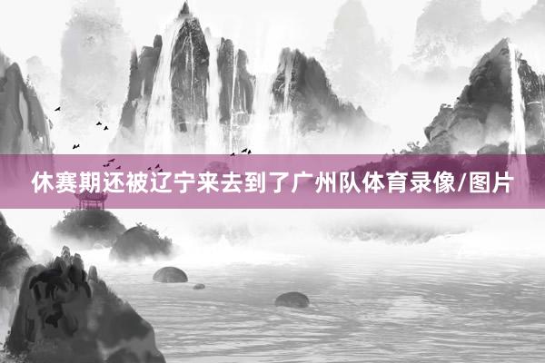 休赛期还被辽宁来去到了广州队体育录像/图片